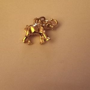 Charm of elephant